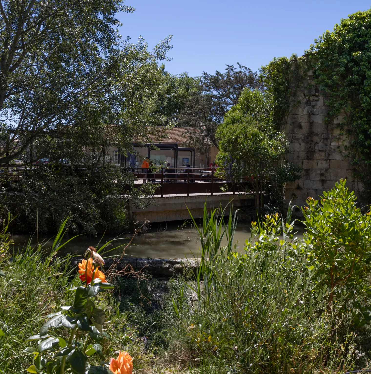 Ile du Gua Suites - Résidence hôtelière à Narbonne - Il est 10h30. Vous traversez le jardin…