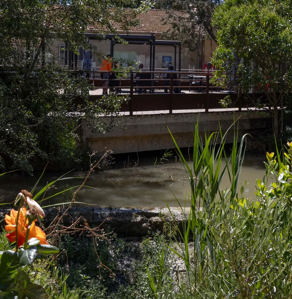 Résidence hôtelière à Narbonne au bord du canal – Île du Gua Suites - Découvrez les activités au Printemps