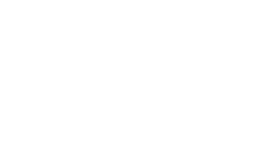 IleDuGua_logo